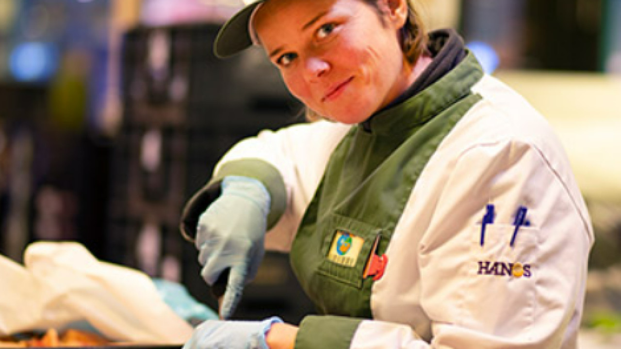 HANOS Internationale Horeca Groothandel Eindhoven afbeelding 6 HANOS Internationale Horeca Groothandel Eindhoven afbeelding 6